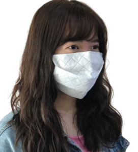 Reusable Protective Mask