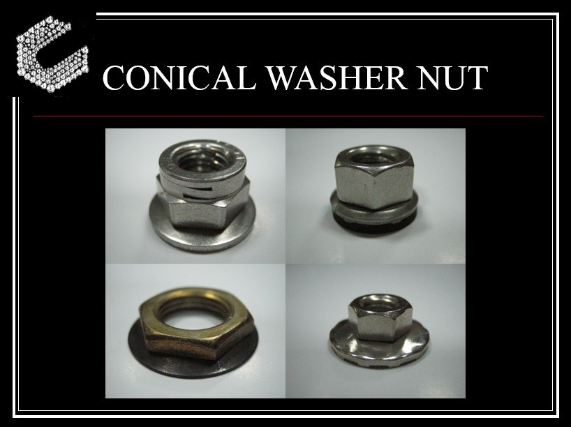 CONICAL WASHER NUT