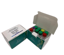 COVID 19 Nuc leic Acid Diagnostic Kit