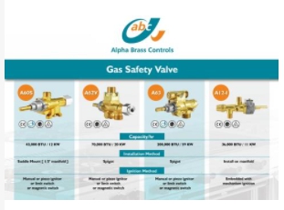 Commercial Gas Safety Valves