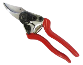 Garden Tools: 8-inch Bypass Pruning Shears