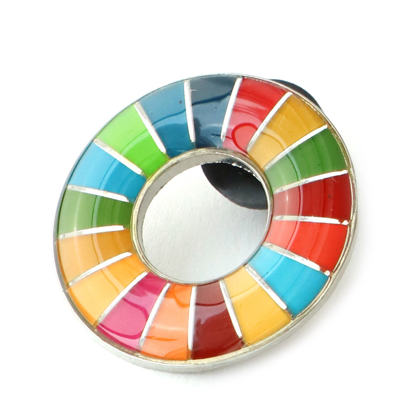 SDG Lapel Pin